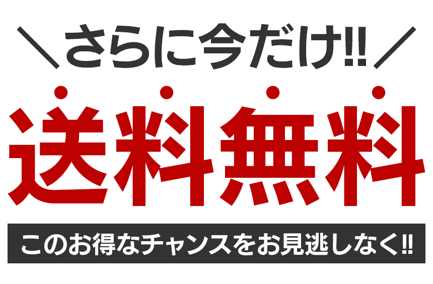 【Louis Vuitton日本公式許可旗艦店】ご好評に付き再入荷!!