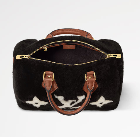 【LOUIS VUITTON】 スピーディ ショルダーバッグ25 M11797