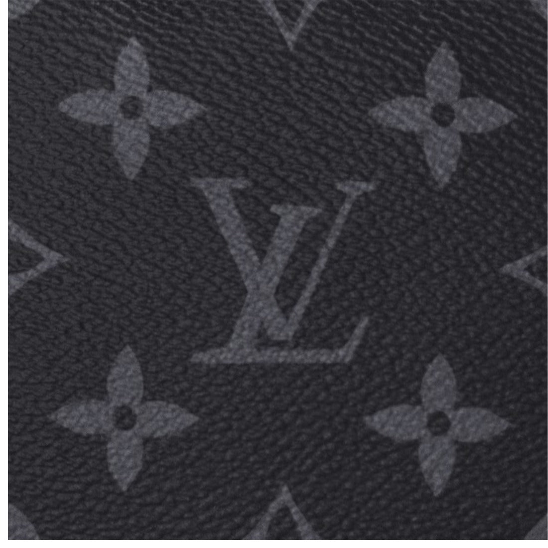 【LOUIS VUITTON】大ぶりのファスナー付きモンスリ バックパック  M46683