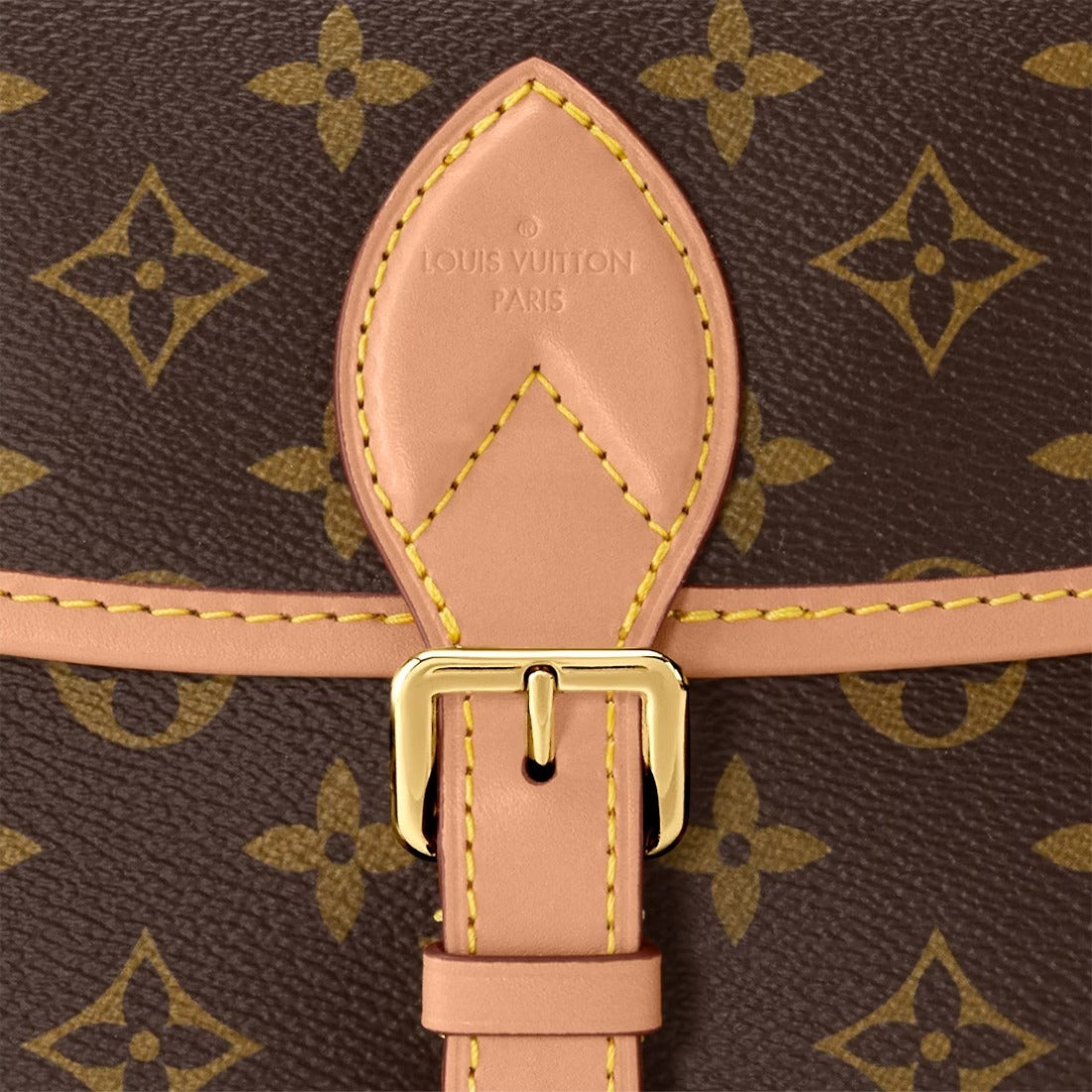 【LOUIS VUITTON】ヴィンテージ風のディアヌ NM PM バッグ  M45985