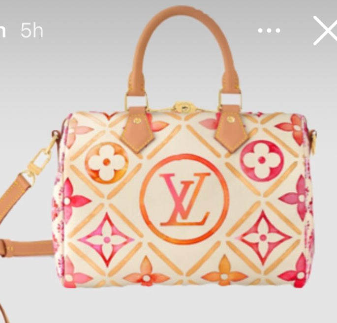 【Louis Vuitton】スピーディー 25  M11264